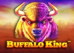 Buffalo King